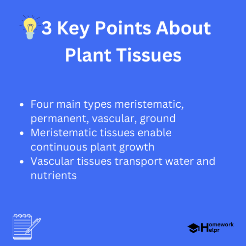 Plant Tissues