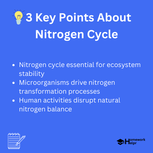 Nitrogen Cycle