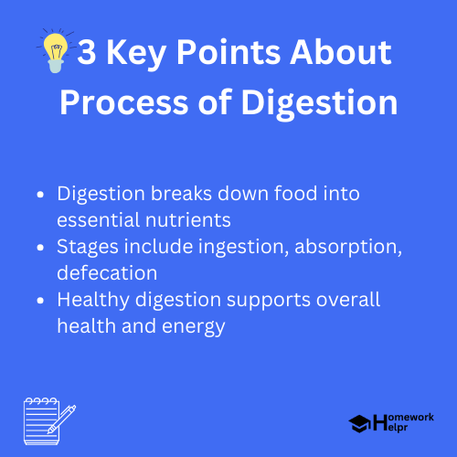 Process of Digestion