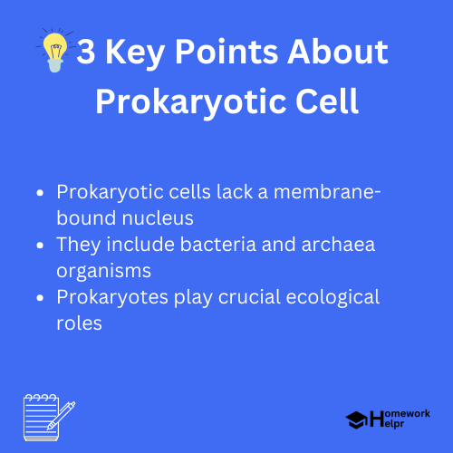 Prokaryotic Cell