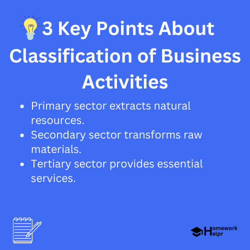 Classification of Business Activities