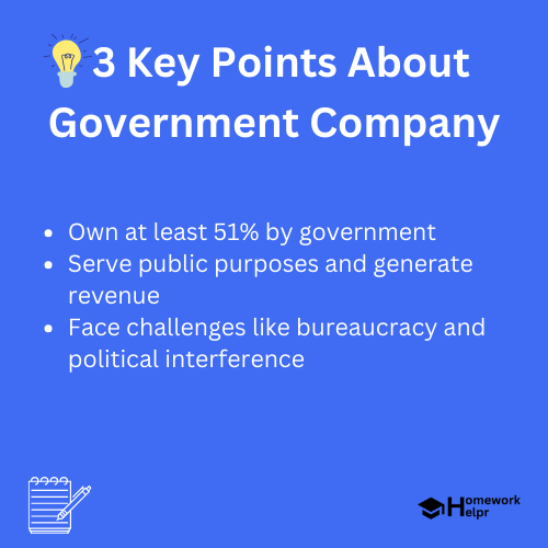 Government Company