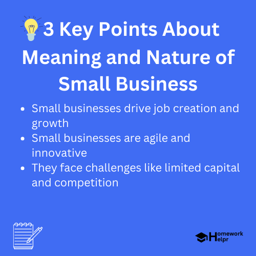 Meaning and Nature of Small Business