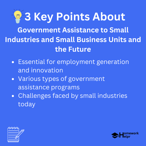 Government Assistance to Small Industries and Small Business Units and the Future