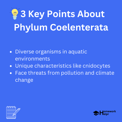 Phylum Coelenterata