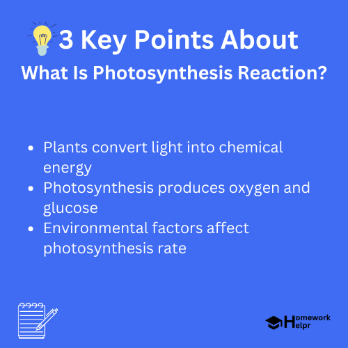 What Is Photosynthesis Reaction