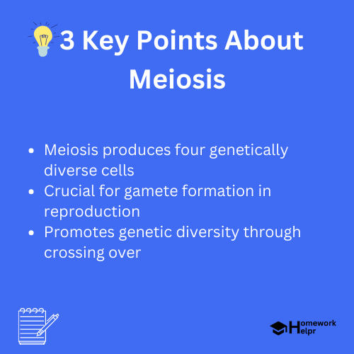 Meiosis