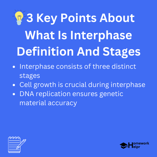 What Is Interphase Definition And Stages