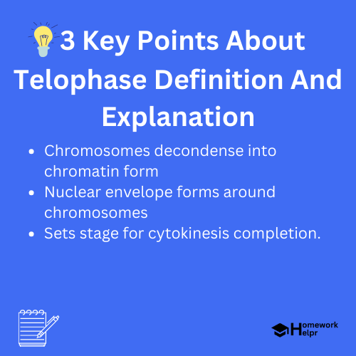 Telophase Definition And Explanation