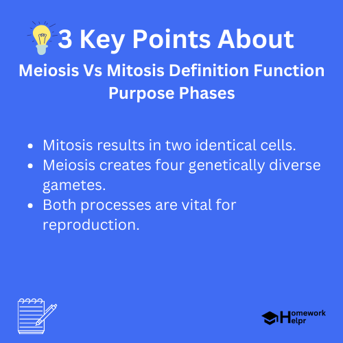 Meiosis Vs Mitosis Definition Function Purpose Phases