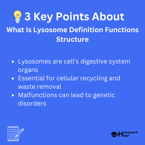 What Is Lysosome Definition Functions Structure