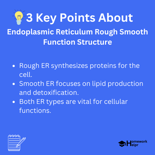 Endoplasmic Reticulum Rough Smooth Function Structure