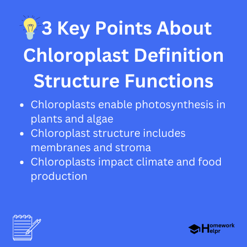 Chloroplast Definition Structure Functions