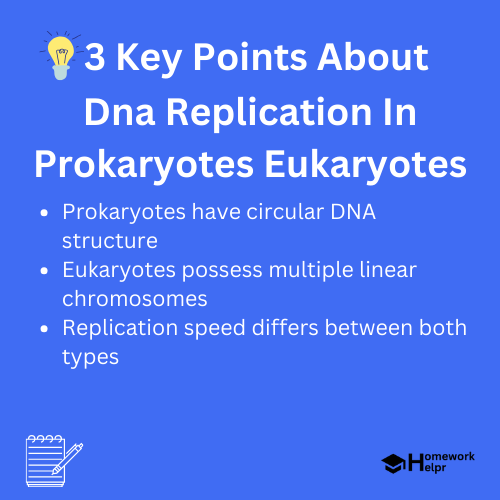 Dna Replication In Prokaryotes Eukaryotes