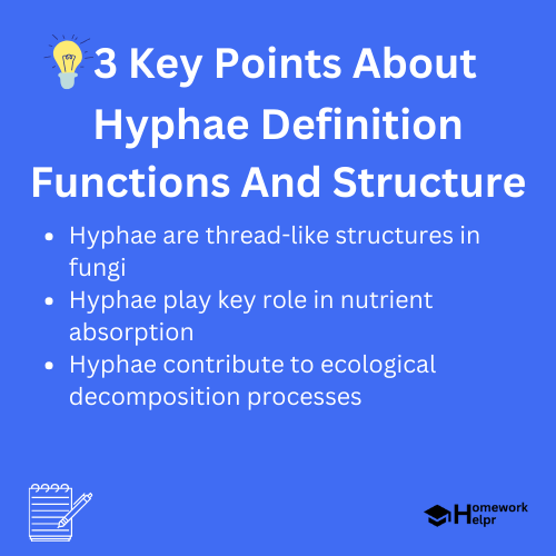 Hyphae Definition Functions And Structure