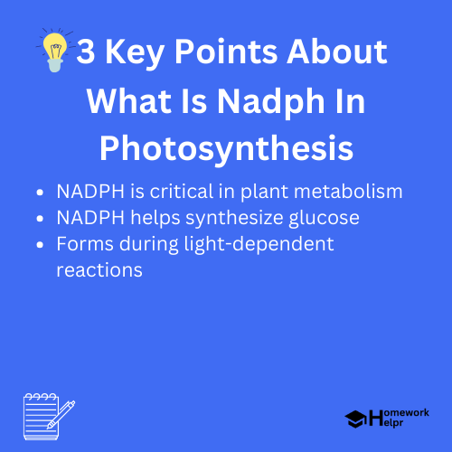 What Is Nadph In Photosynthesis