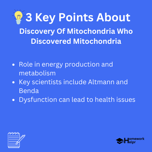 Discovery Of Mitochondria Who Discovered Mitochondria