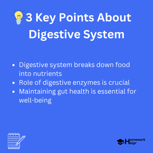 Digestive System