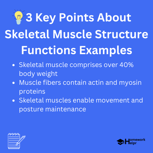 Skeletal Muscle Structure Functions Examples