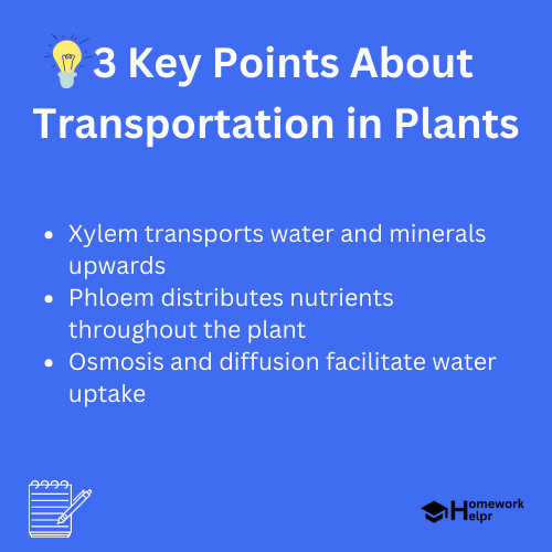 Transportation in Plants