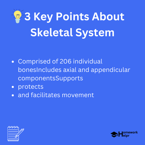 Skeletal System