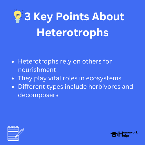 Heterotrophs