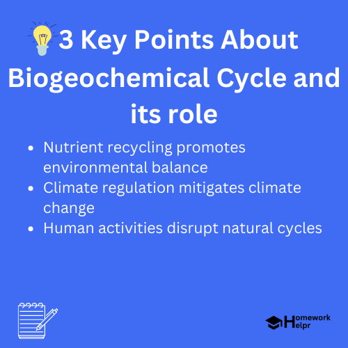 Biogeochemical Cycle and its role