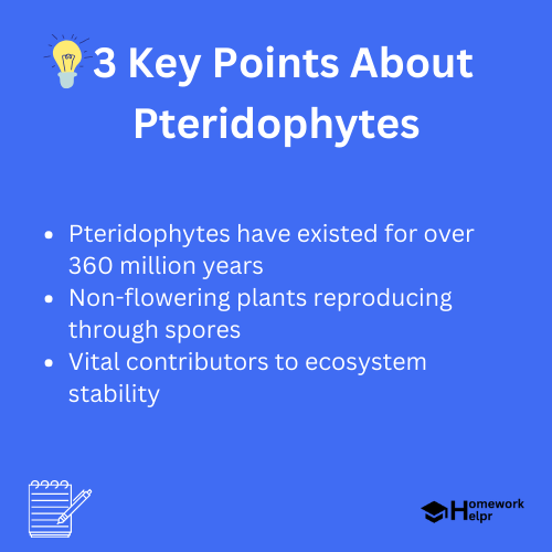 Pteridophytes