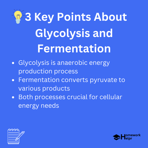 Glycolysis and Fermentation