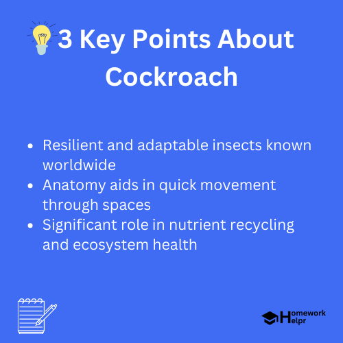 Cockroach