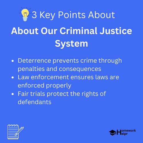 About Our Criminal Justice System