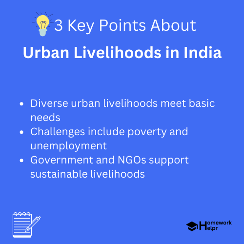 Urban Livelihoods in India