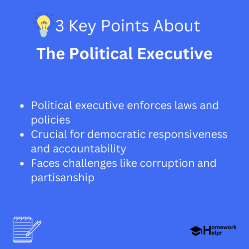 The Political Executive