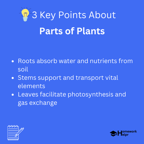 Parts of Plants