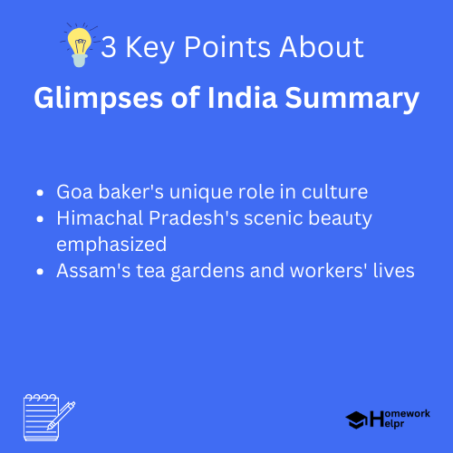 Glimpses of India Summary