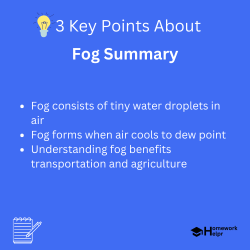 Fog Summary