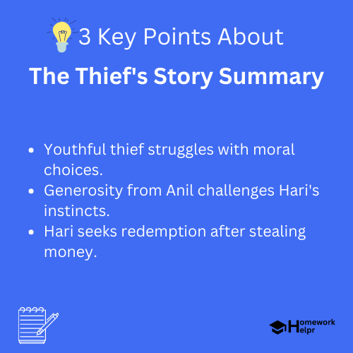 The Thief’s Story Summary