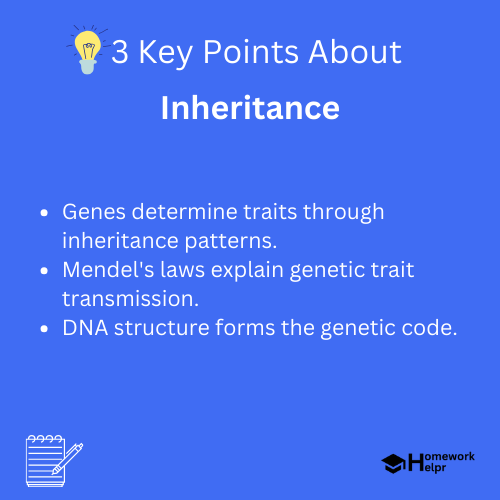 Inheritance