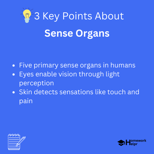 Sense Organs