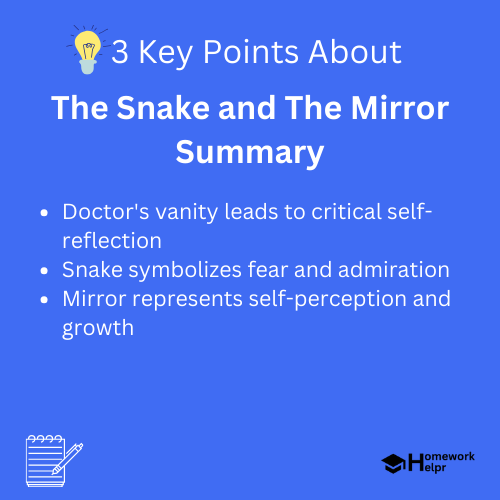 The Snake and The Mirror Summary