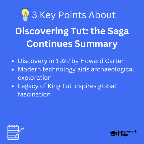 Discovering Tut: the Saga Continues Summary