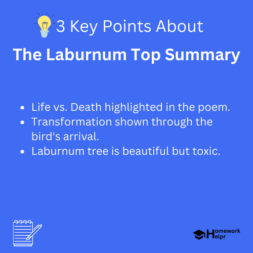 The Laburnum Top Summary