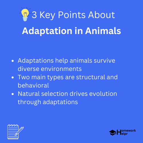 Adaptation in Animals