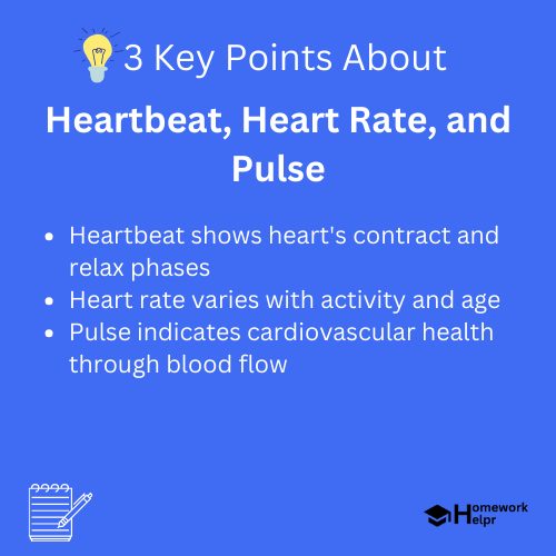 Heartbeat, Heart Rate, and Pulse