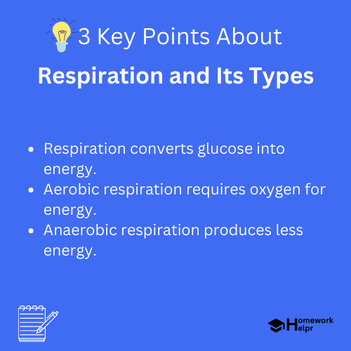 Respiration and Its Types