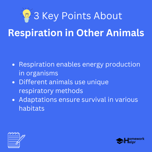 Respiration in Other Animals