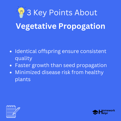 Vegetative Propogation