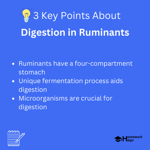 Digestion in Ruminants