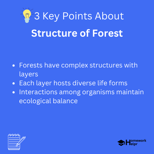 Structure of Forest