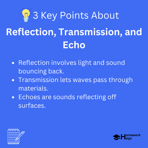 Reflection, Transmission, and Echo